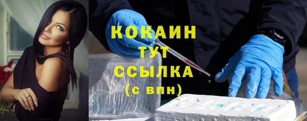 ECSTASY Богданович