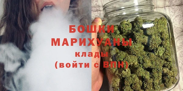 ECSTASY Богданович