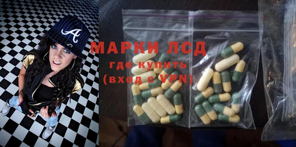 ECSTASY Богданович