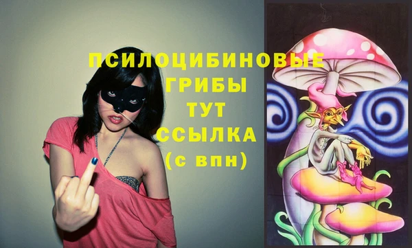 марки nbome Богородицк