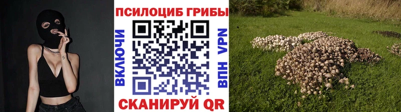 Галлюциногенные грибы ЛСД  Краснотурьинск 
